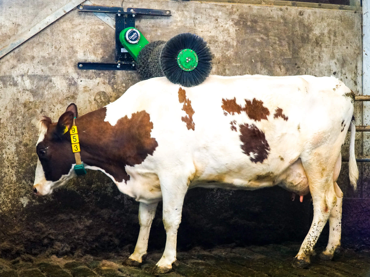 Brosse pour vâches "Cosy Cow"