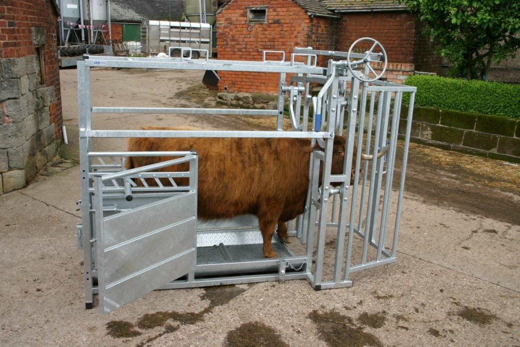 Cage de contention bovine spéciale Highland