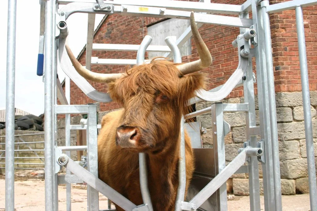 Cage de contention bovine spéciale Highland