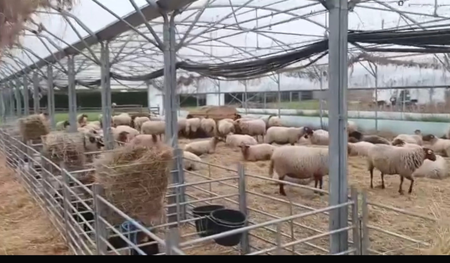 Pack 8 cases d'agnelage 1m22