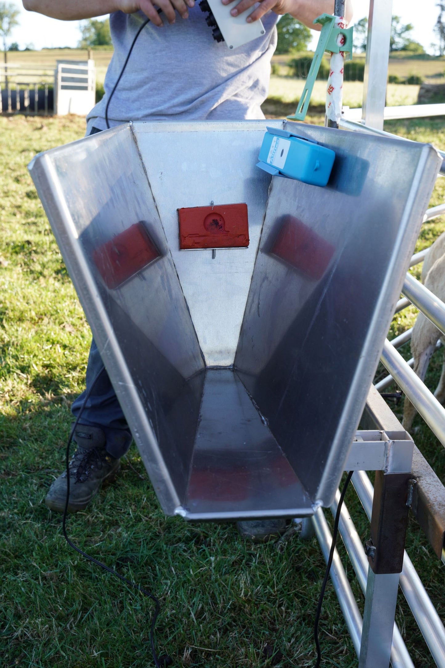 OviLamb Box
