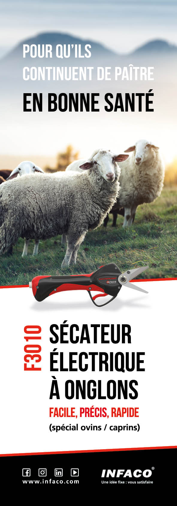 Gartenschere Infaco 3010