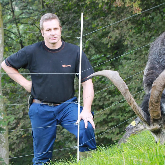 Ressort inox réglable (ø 10mm, 25 pcs)