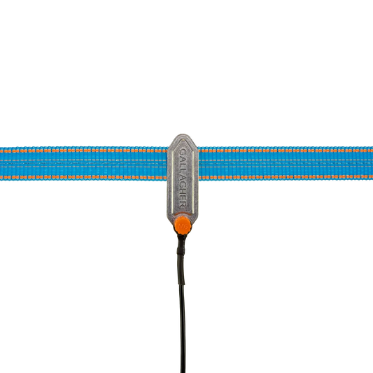 Jeu de pontage (60cm)