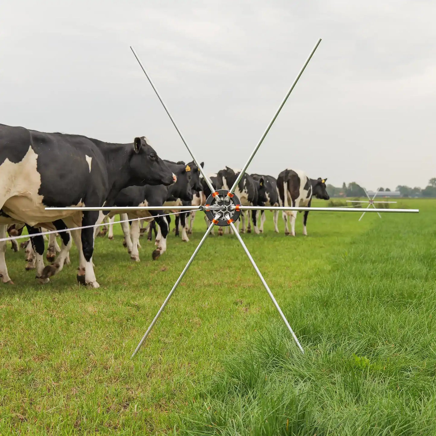 Araignée de prairie (5 pcs)