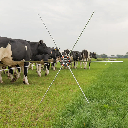 Araignée de prairie (5 pcs)