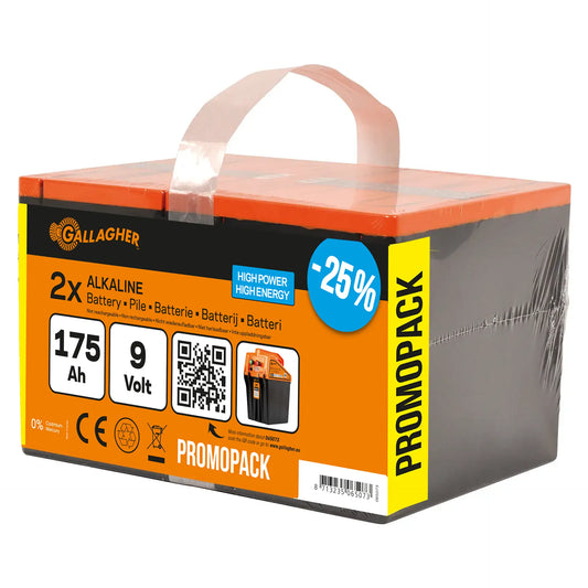 Paquet DUO Pile (9V, 175Ah)