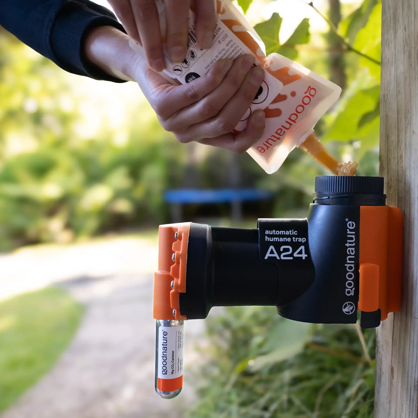 Beurre de noisette pour rats et souris 200g (10-pack)