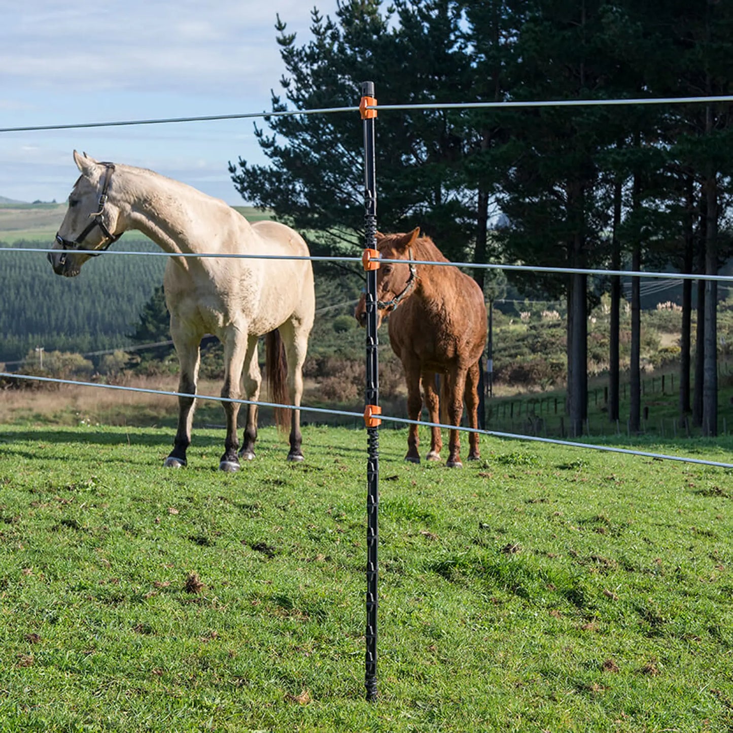 Line post isolé 2,05m (10)