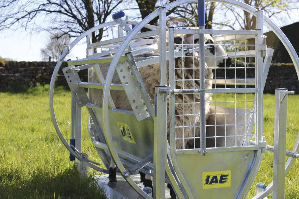 Cage de retournement IAE