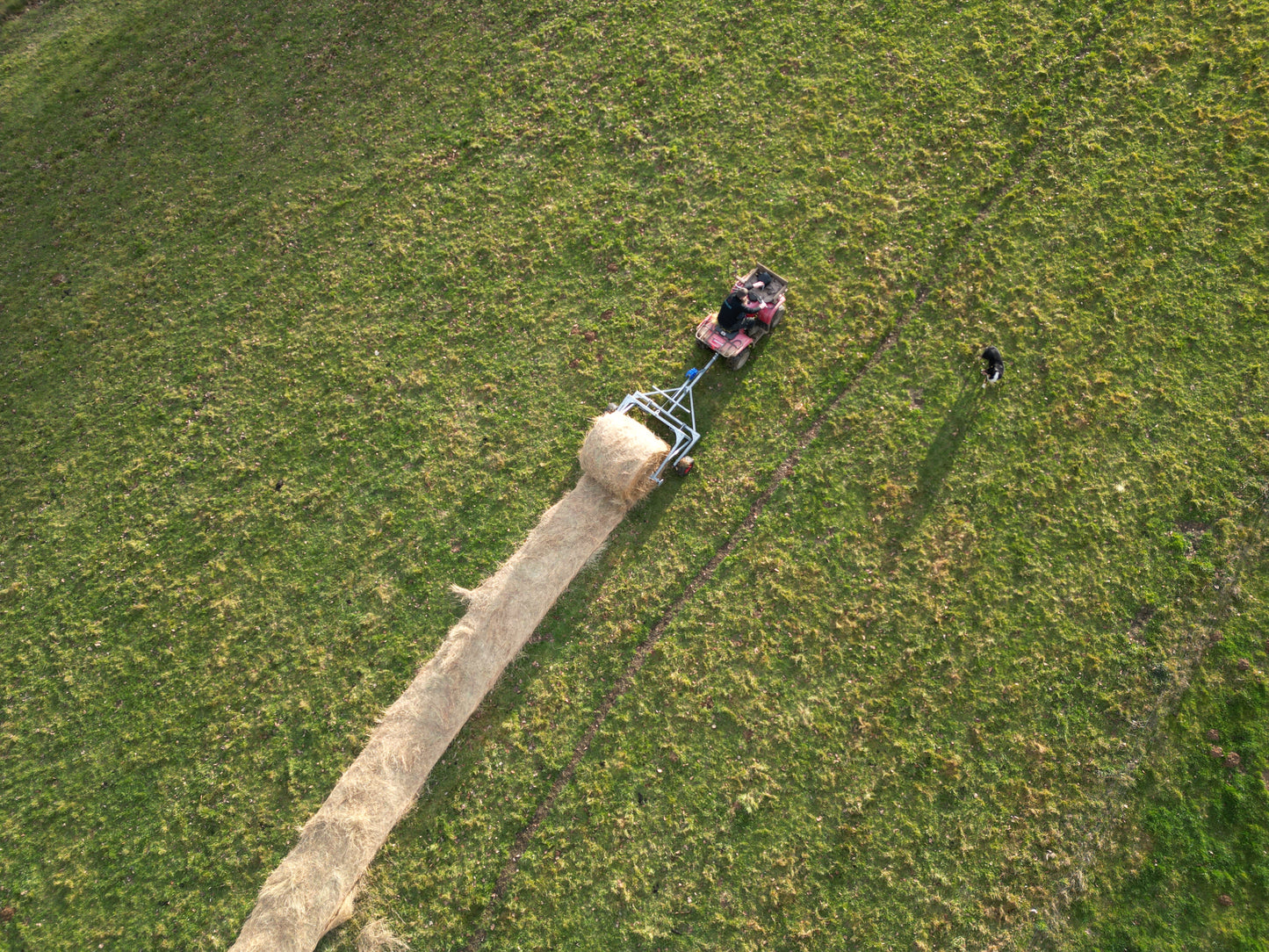 Transporteur a balles de foin